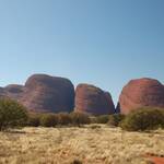 Sandra Tomaselli-Rüegg