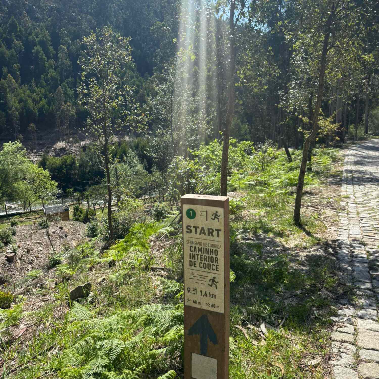 Trilho do rio Ferreira