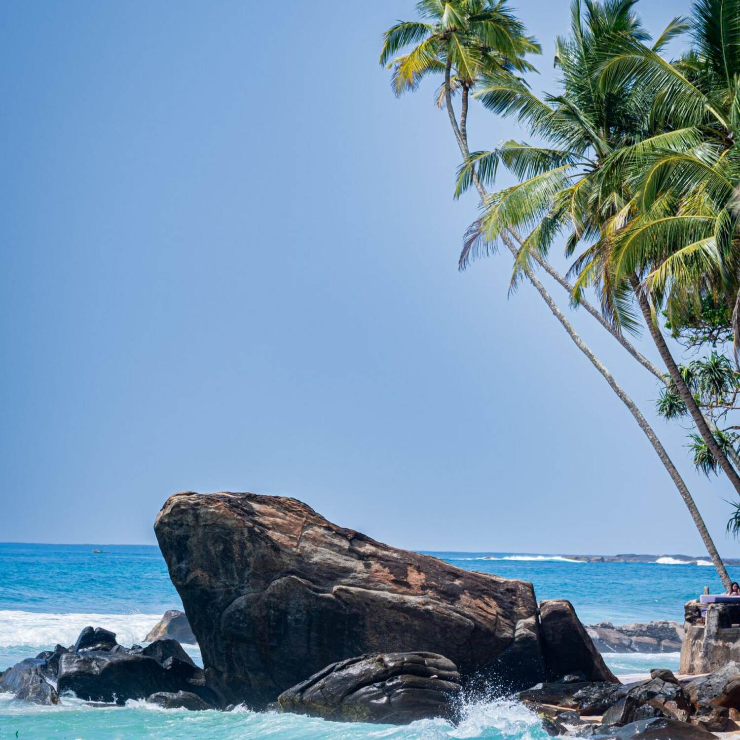 Sri Lanka 🛺 & Malediven 🏝️