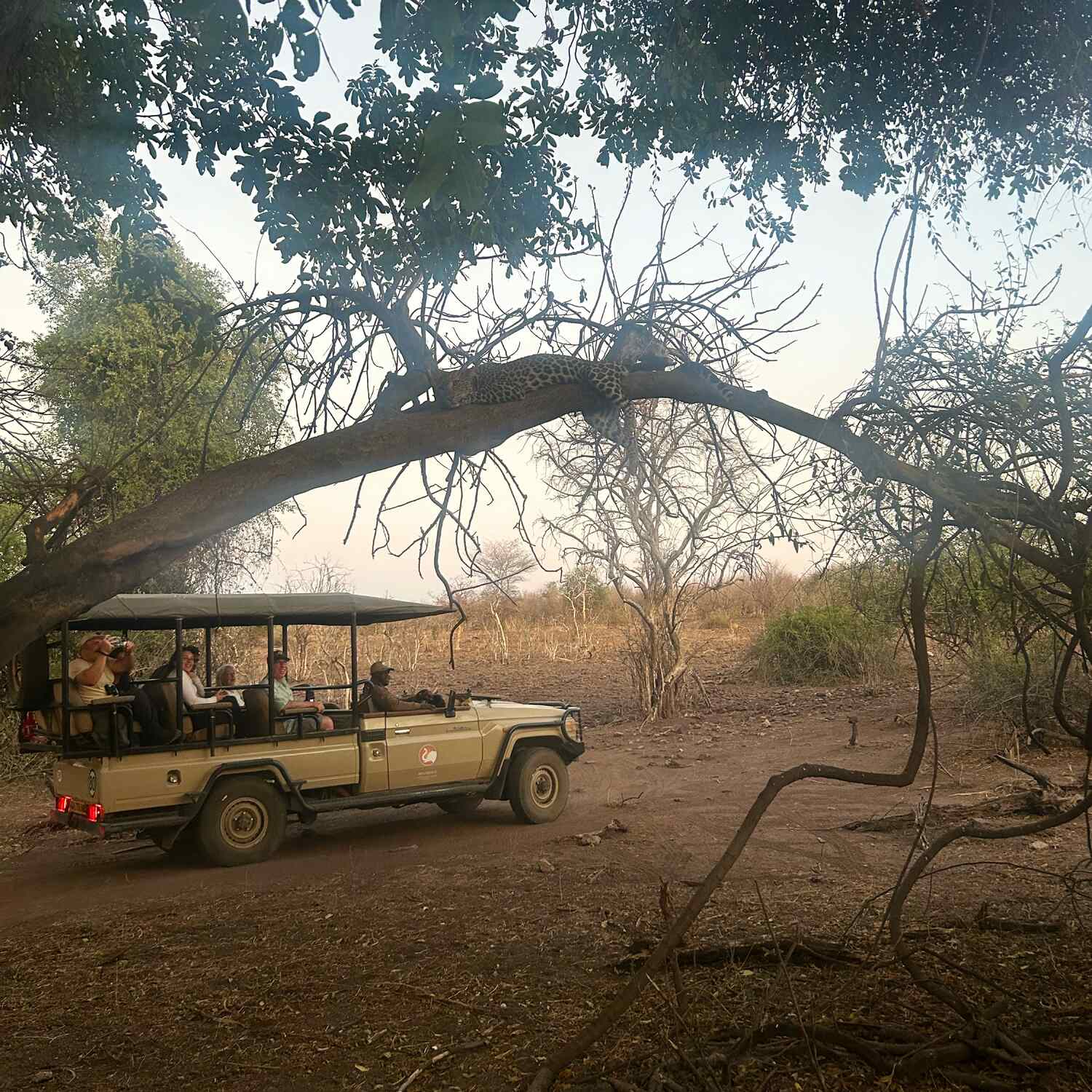 Southern Africa