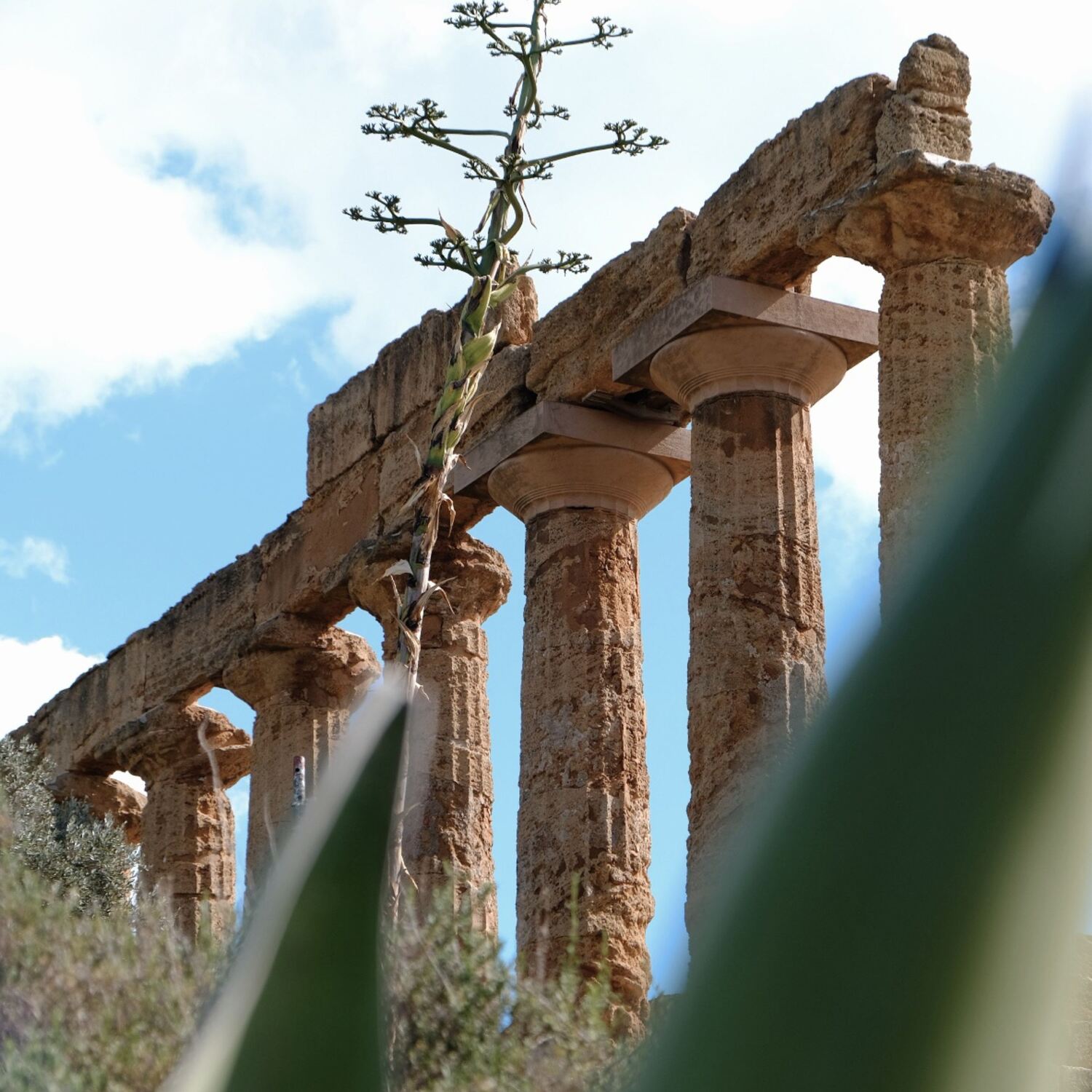 صقلية - Lavori in corso