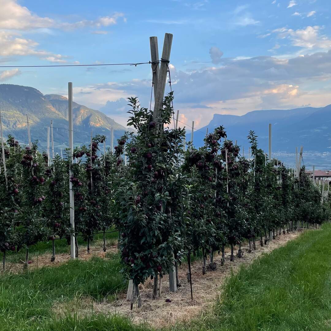 Zu Fuß von Meran zum Gardasee