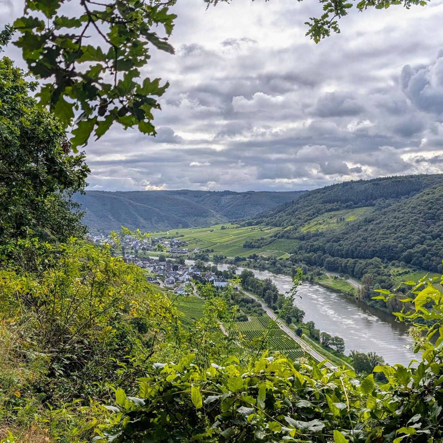 Moselsteig