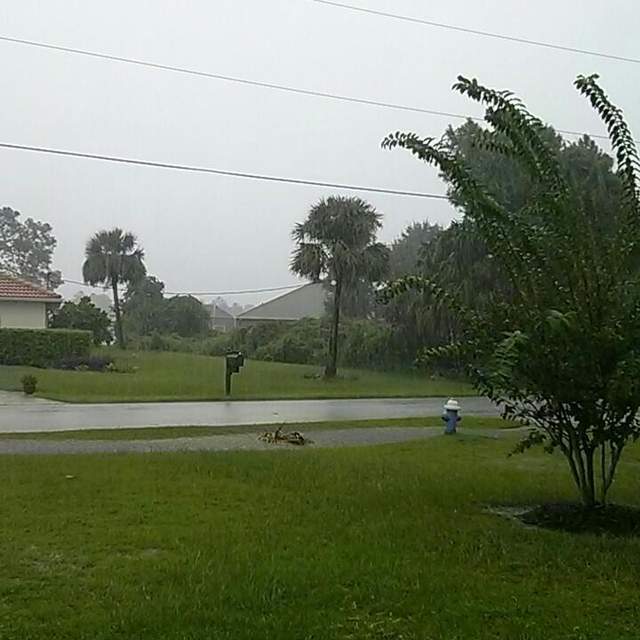 Palm coast, September. 2017