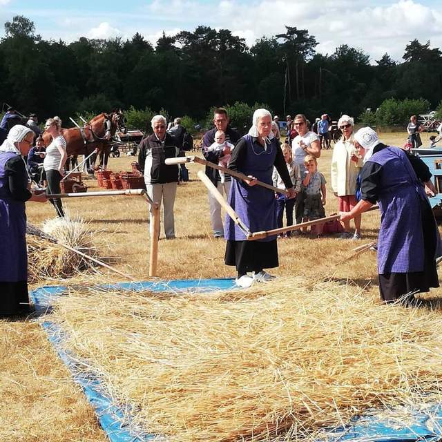 Harvest day in Leusden NL