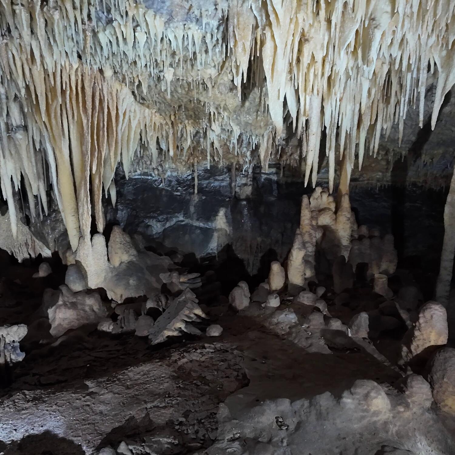 Fairy Cave, Buchan Caves, Victoria