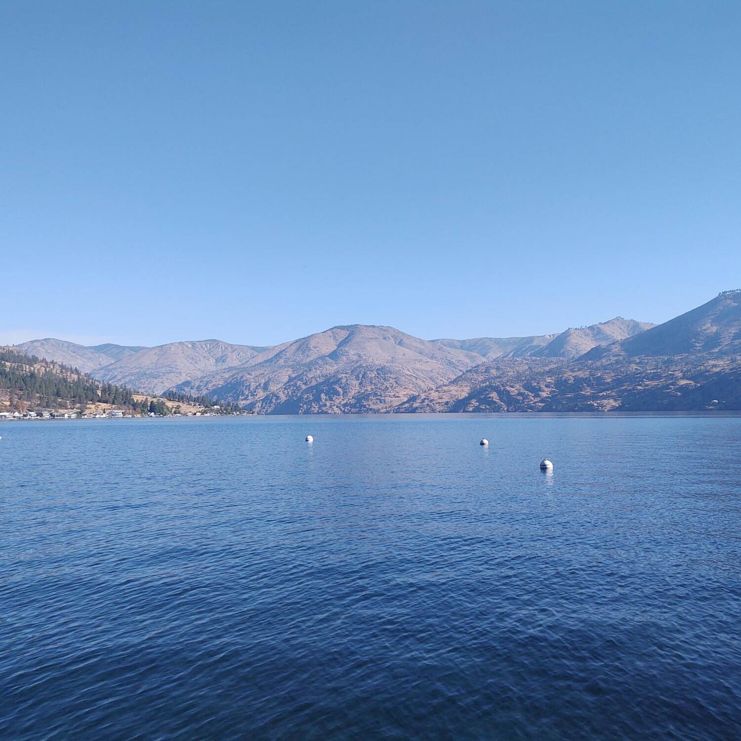 Chelan