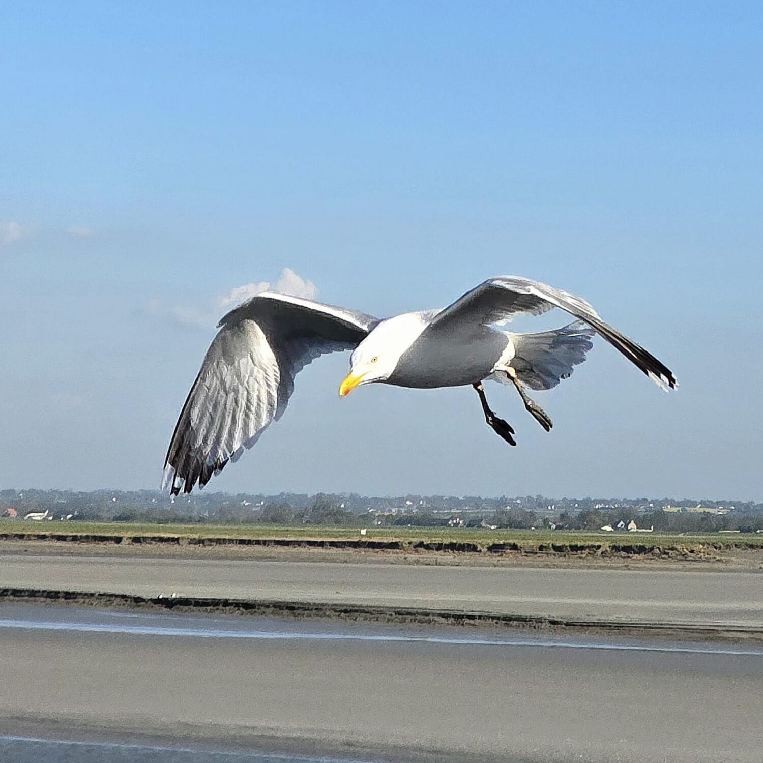 Normandie