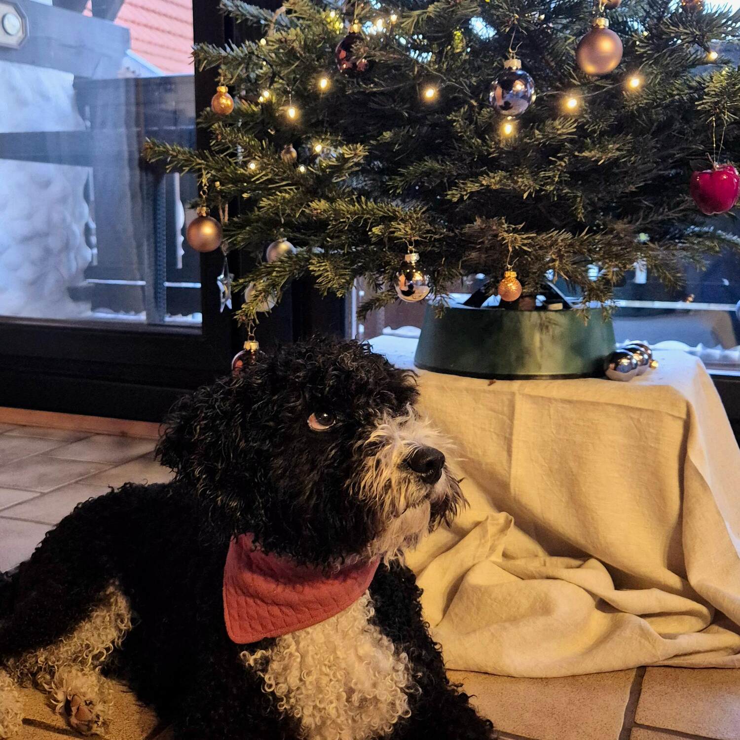Weihnachten 2024 Neujahr 2025