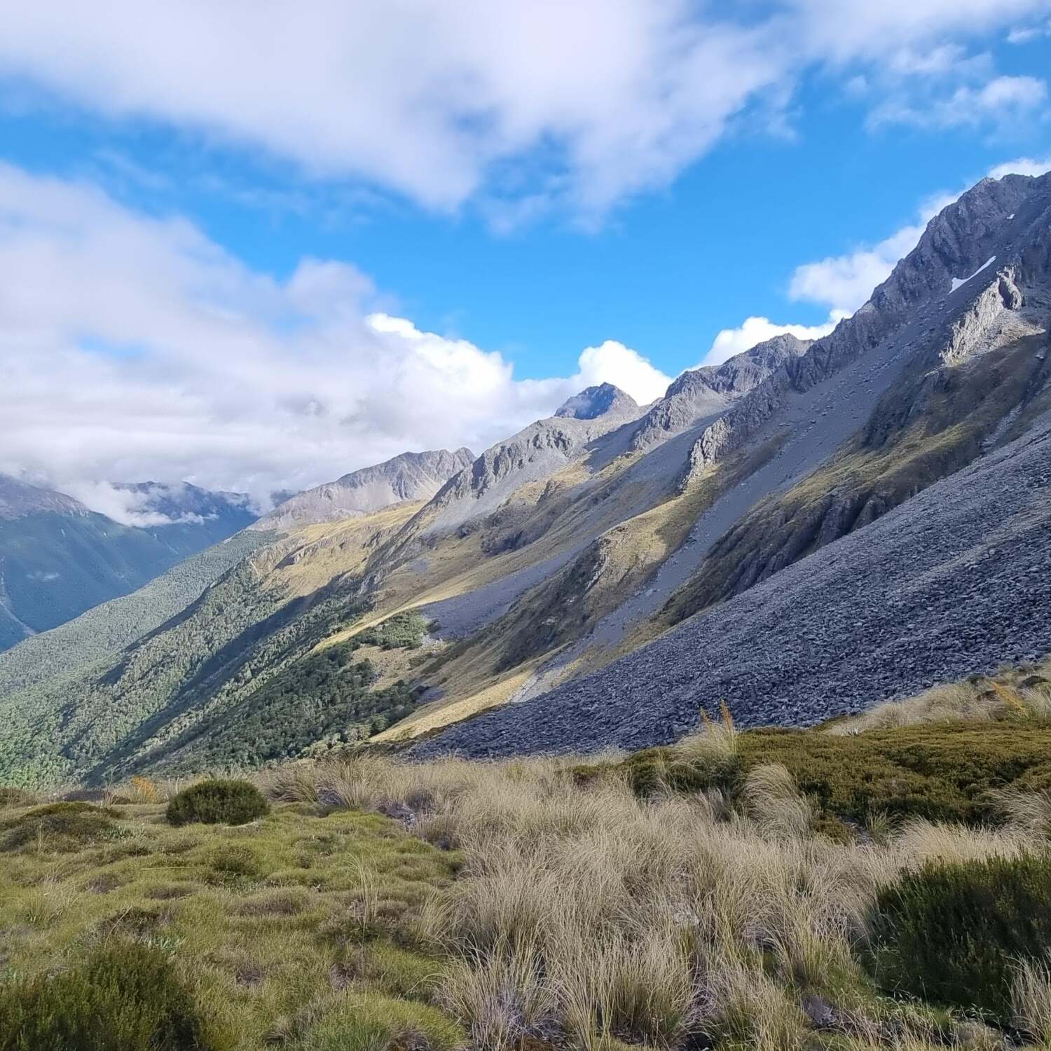 Te Aroroa South Island