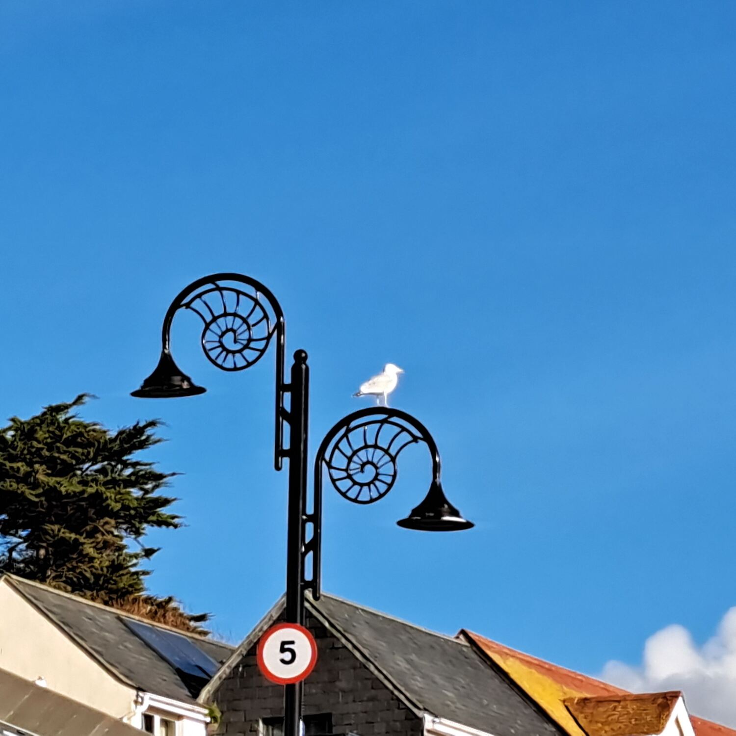 Trips in the van 2026