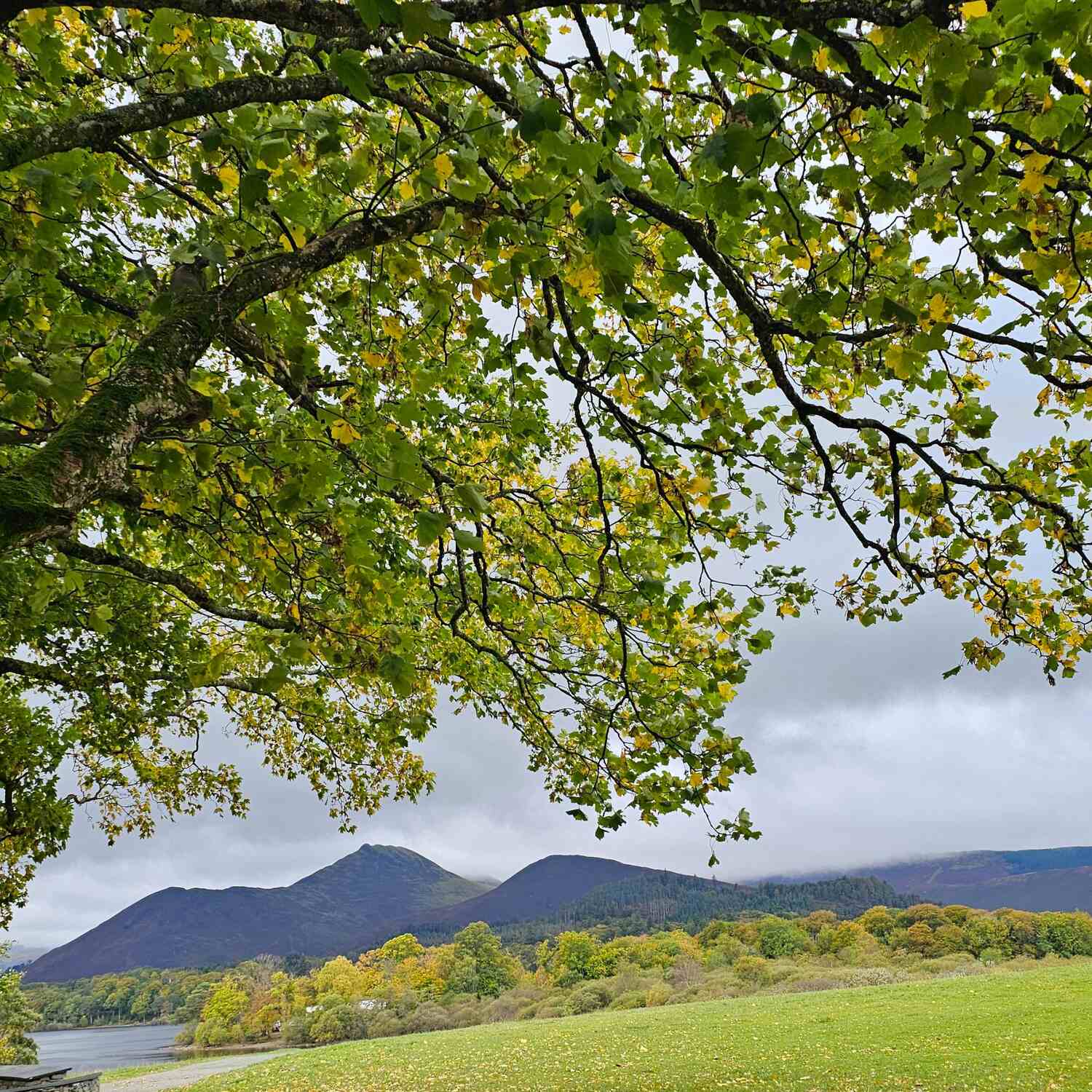 Scotland& wales