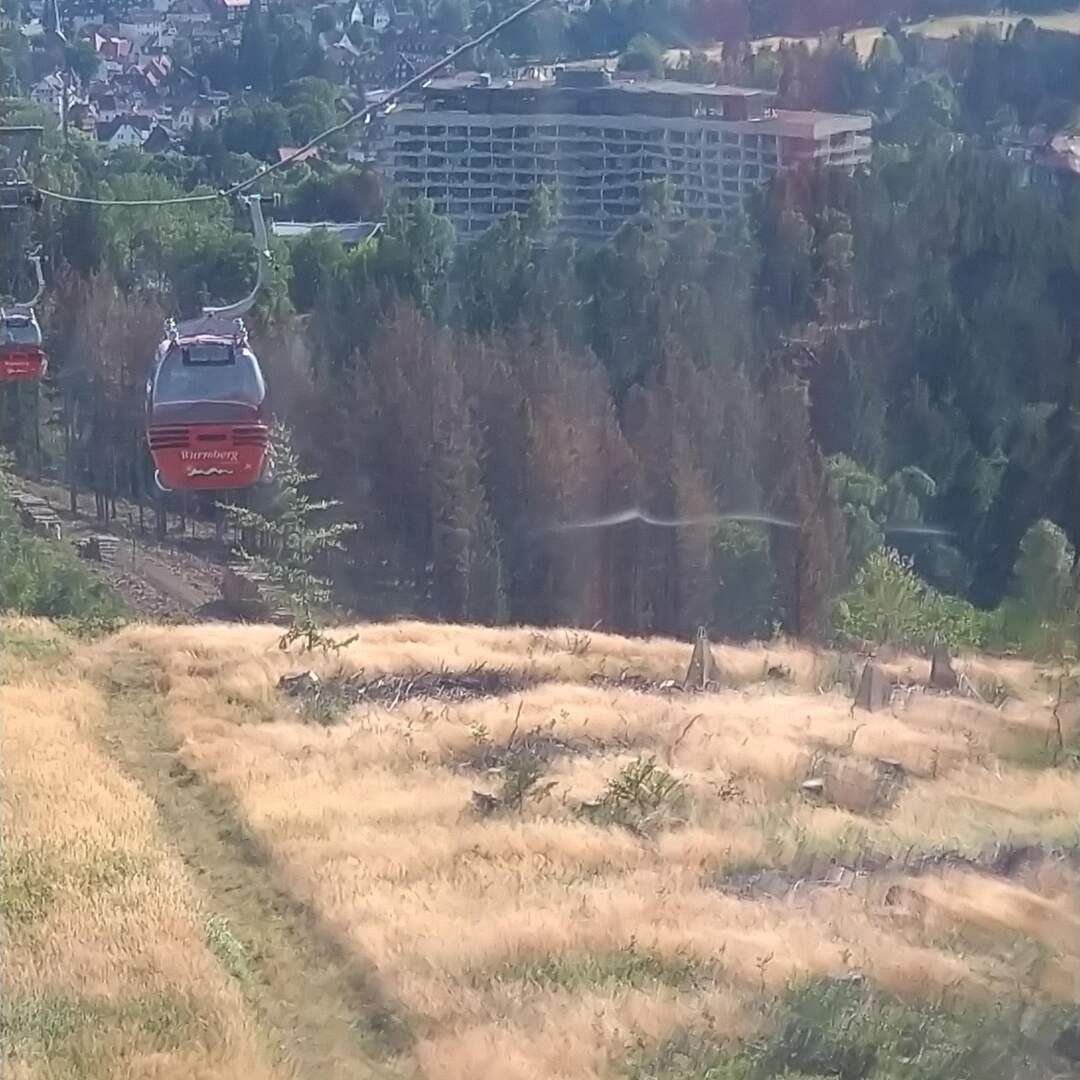 Braunlage Harz