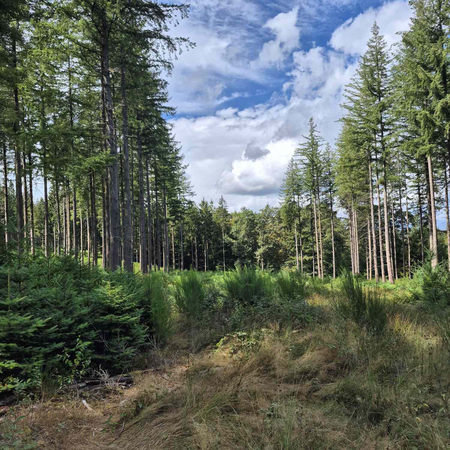 Vakantie 2026 Ardennen en Frankrijk