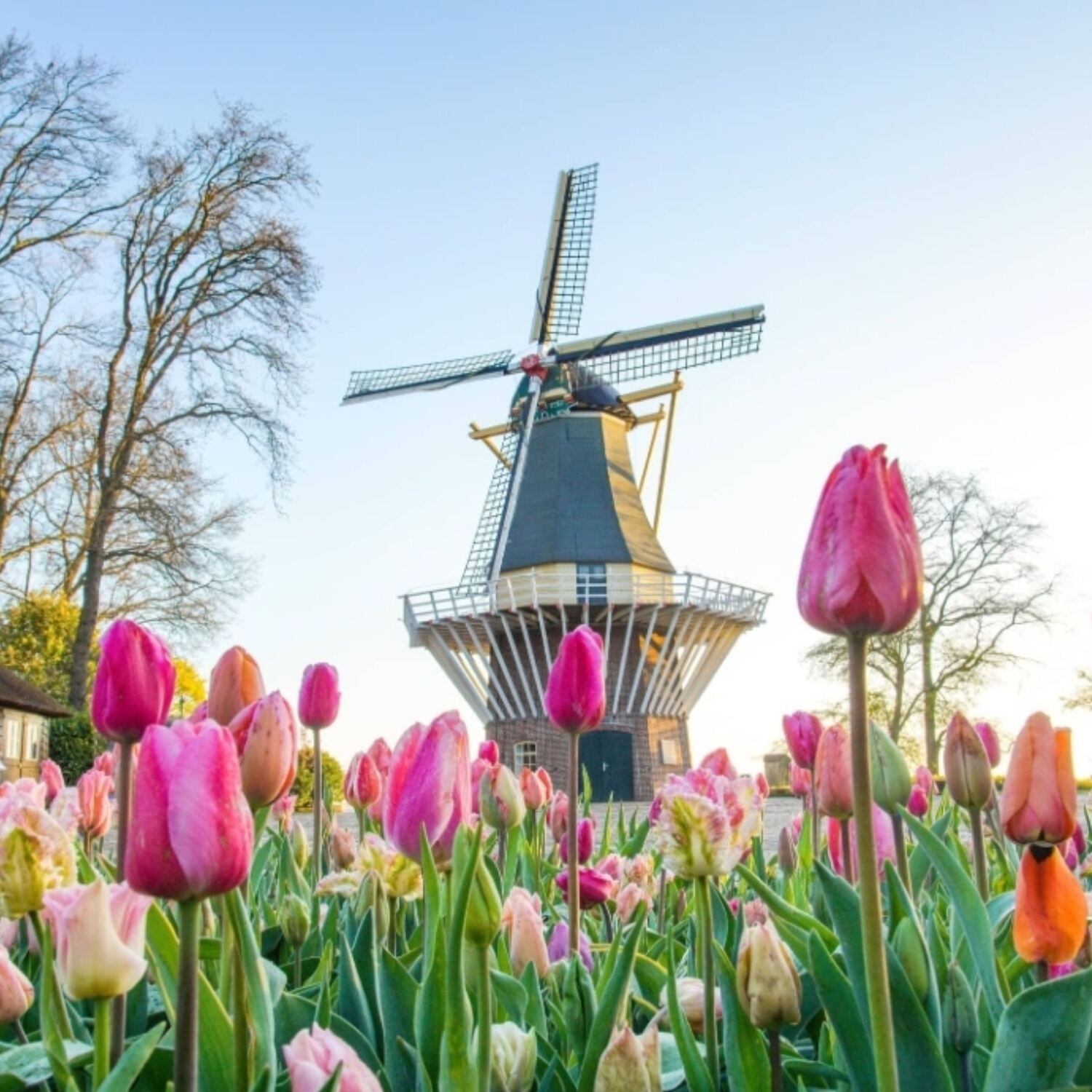 Tour Deutschland/Niederlande