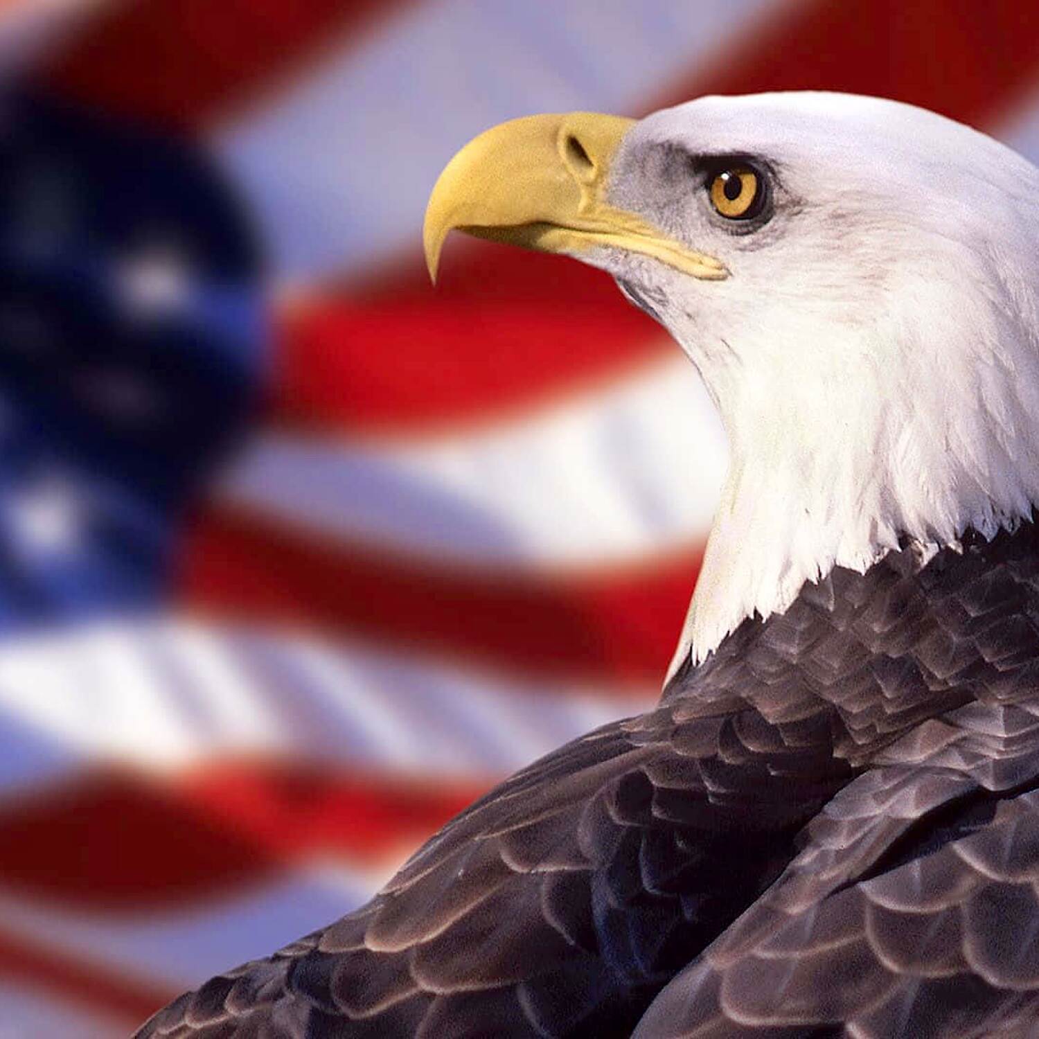 USA Ostküste