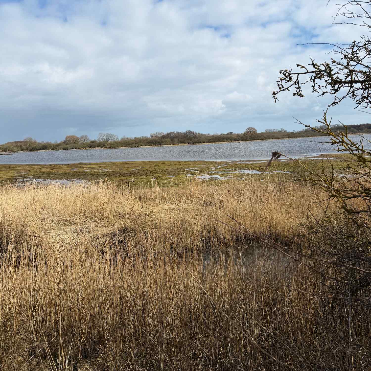 Vor Ostern an der Schlei