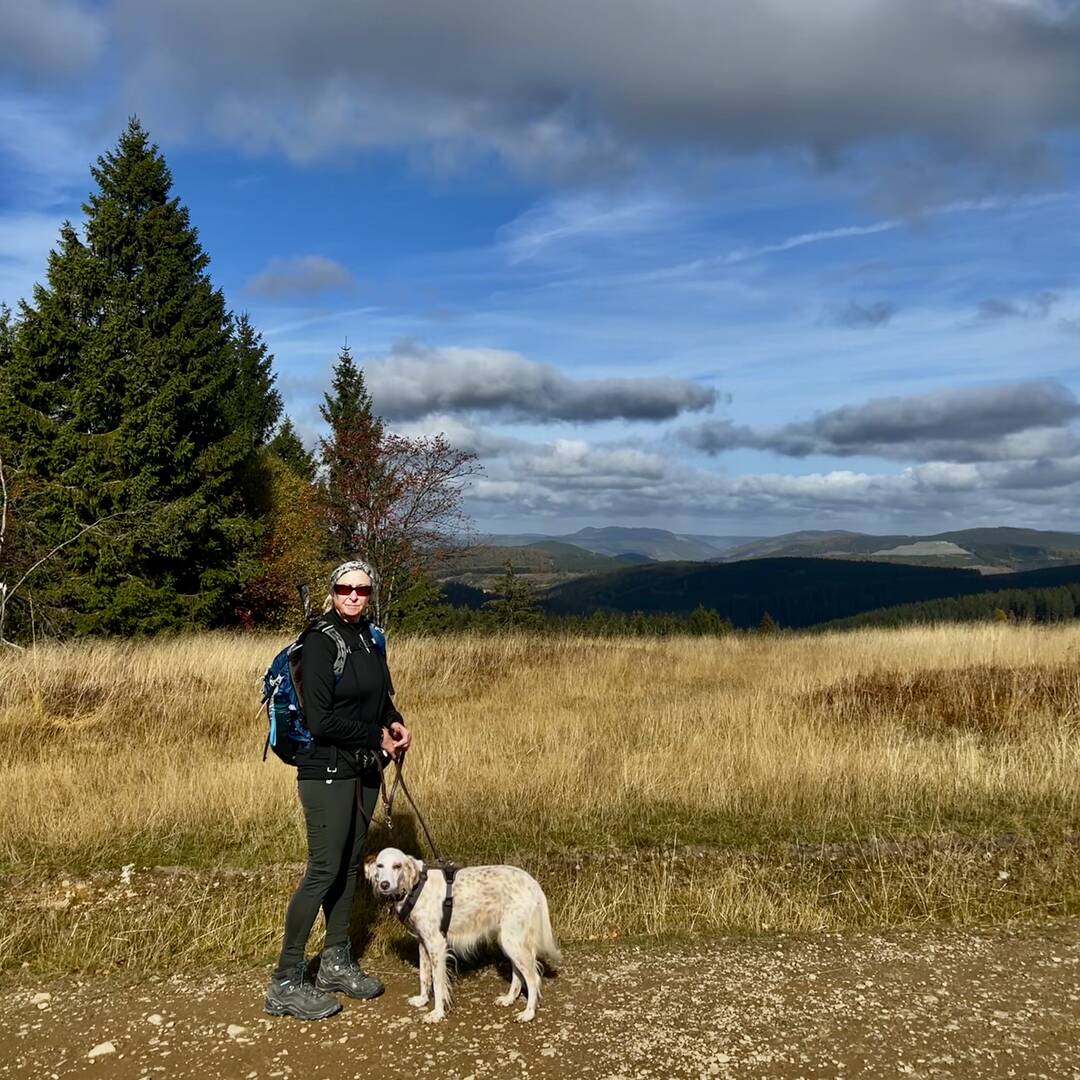 Rothaargebirge