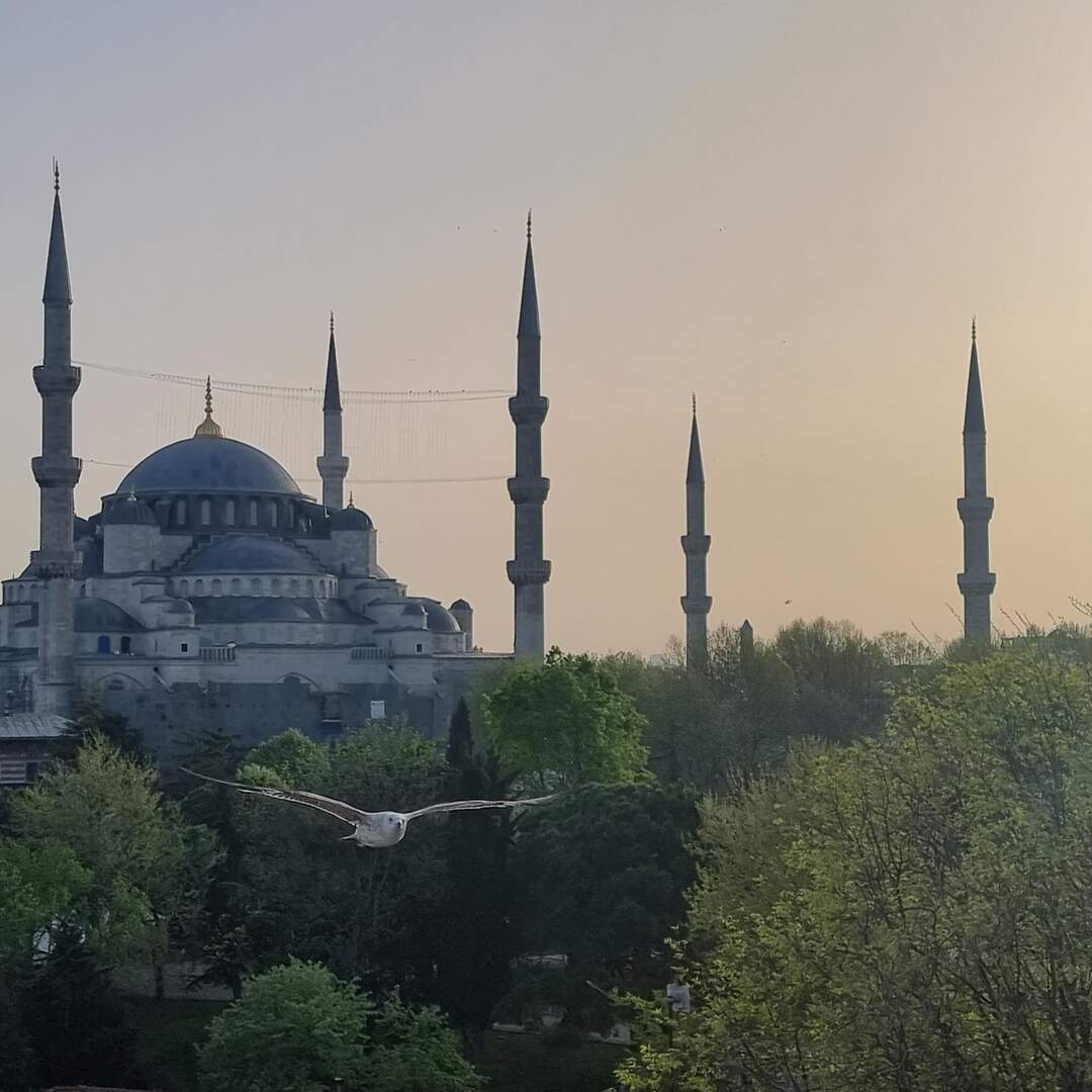 Istanbul 2022