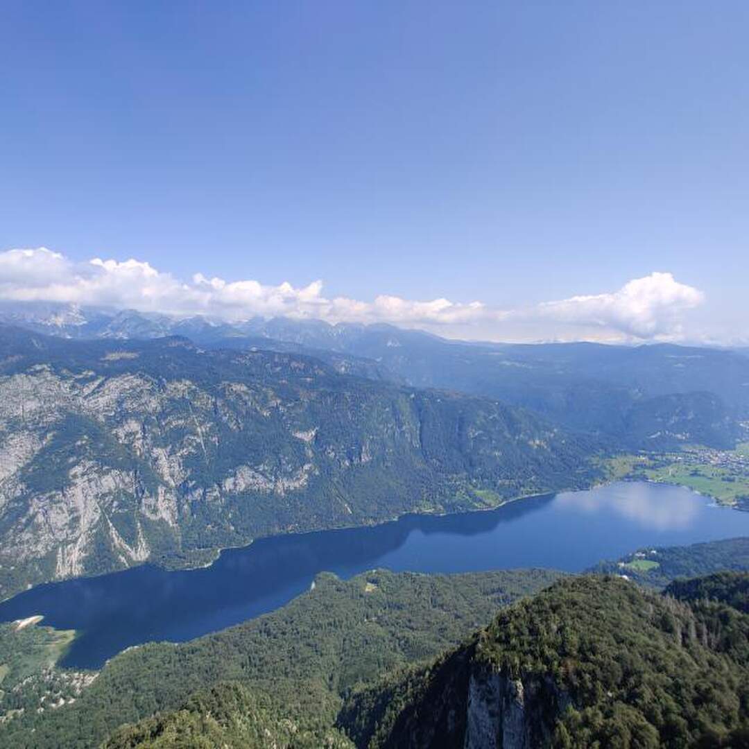 Slovenija 2020