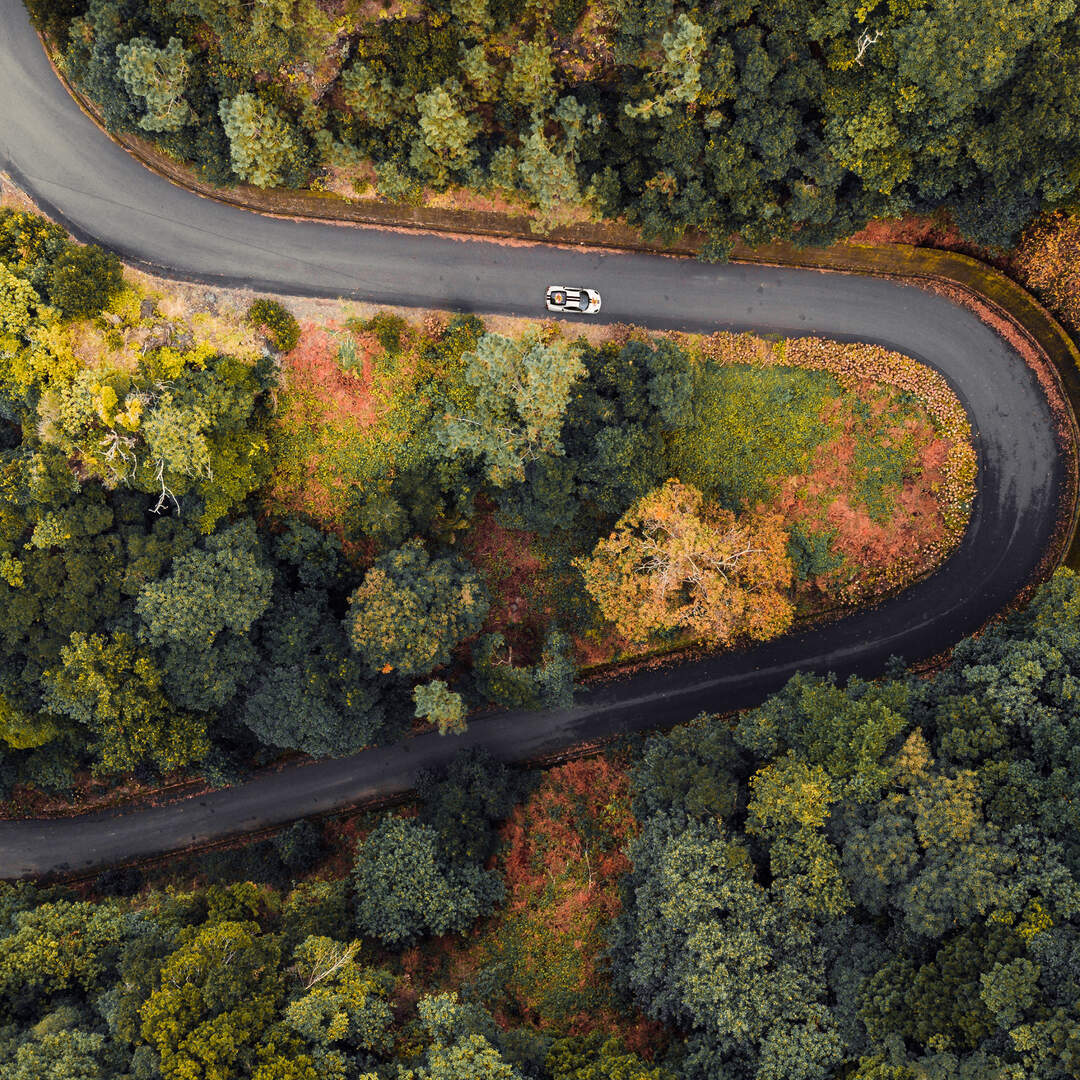 The Deutschland Rally