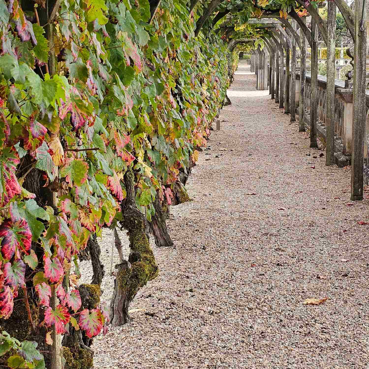 Französischer Herbst