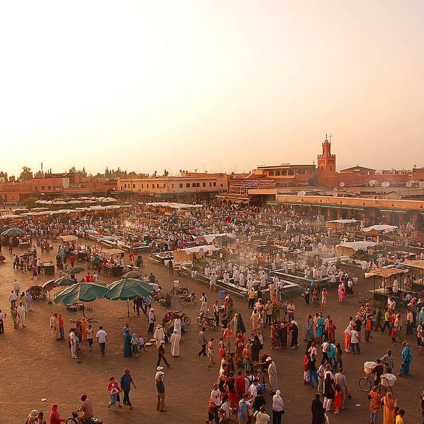 Trip Maroc