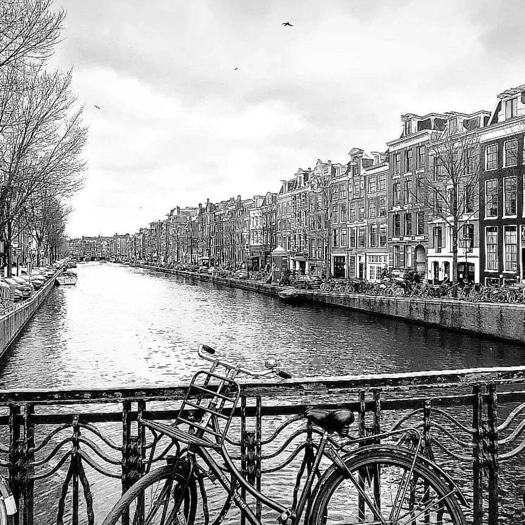 City-trip Amsterdam le retour