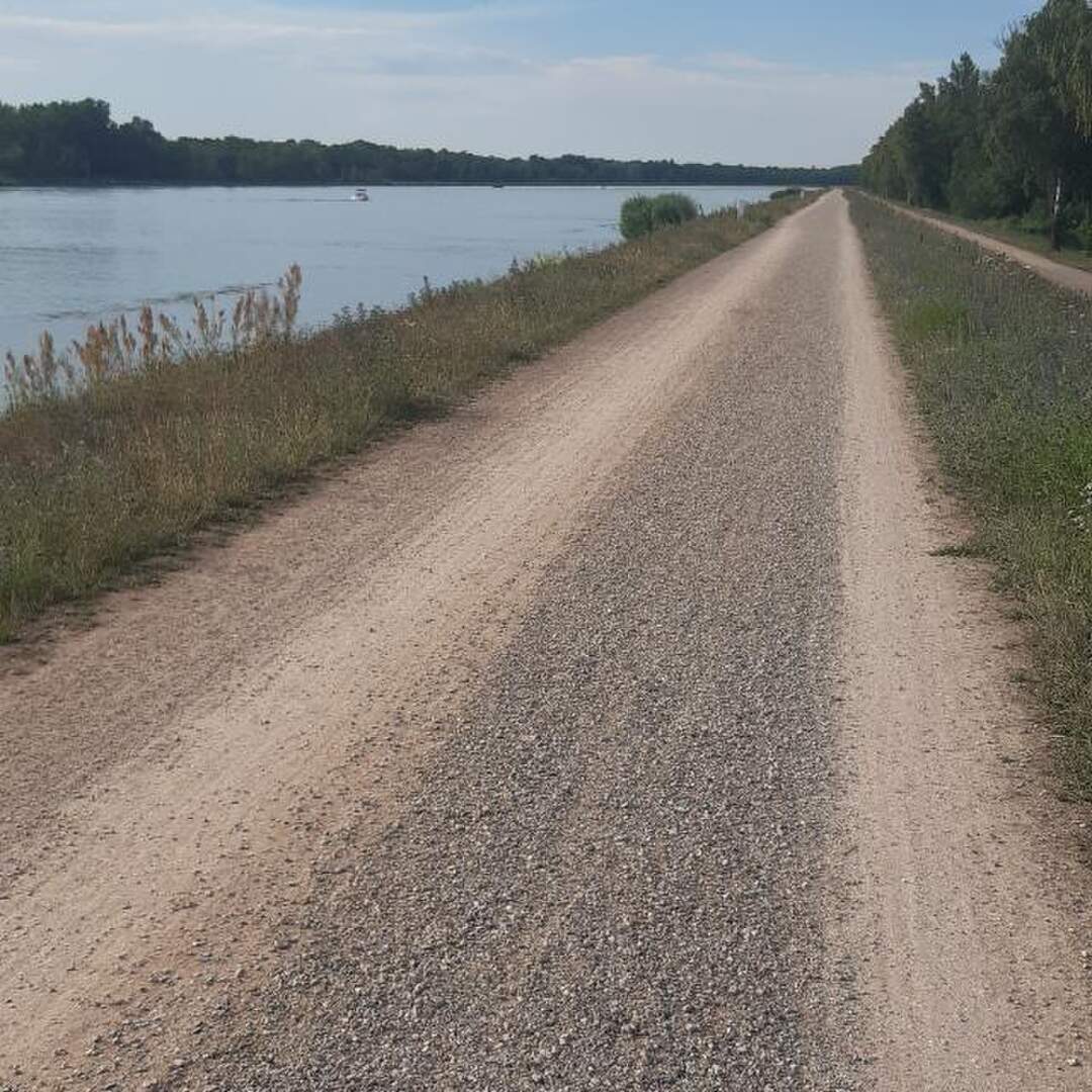 Trampen & Velotour am Rhein