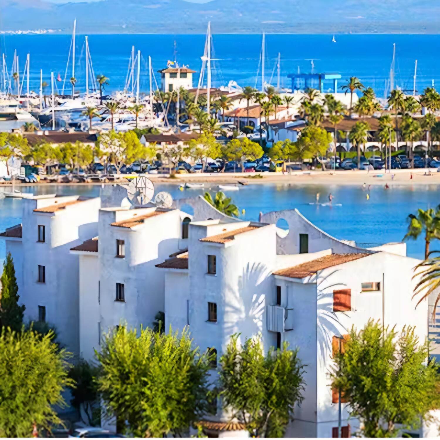 Mallorca- Alcudia