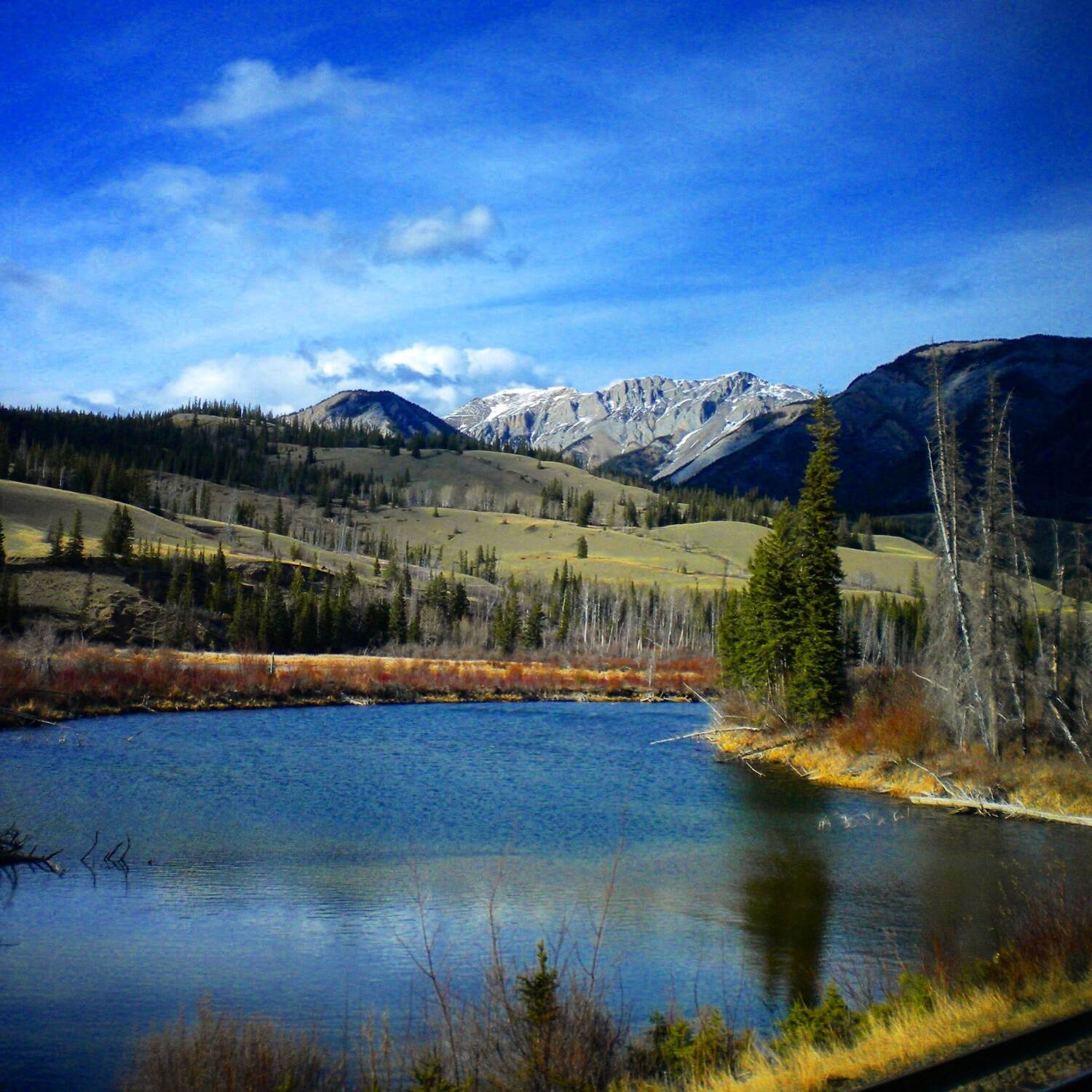 Canada 2009