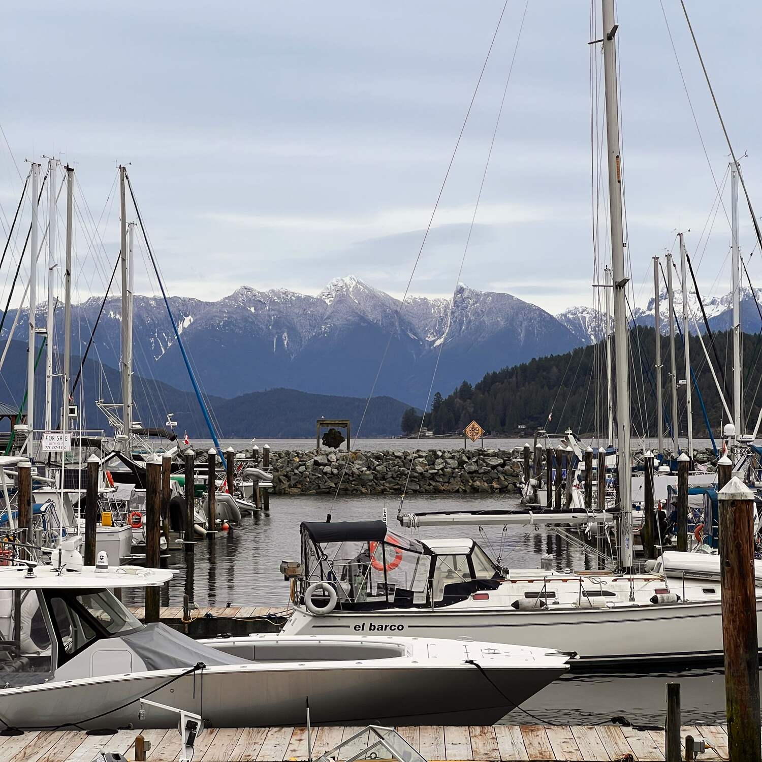 Sunshine Coast, Spring 2026