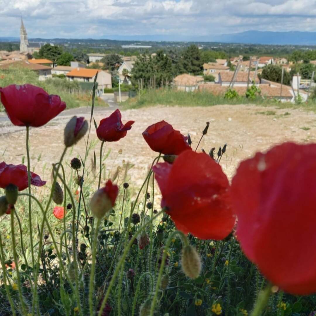 Südfrankreich
