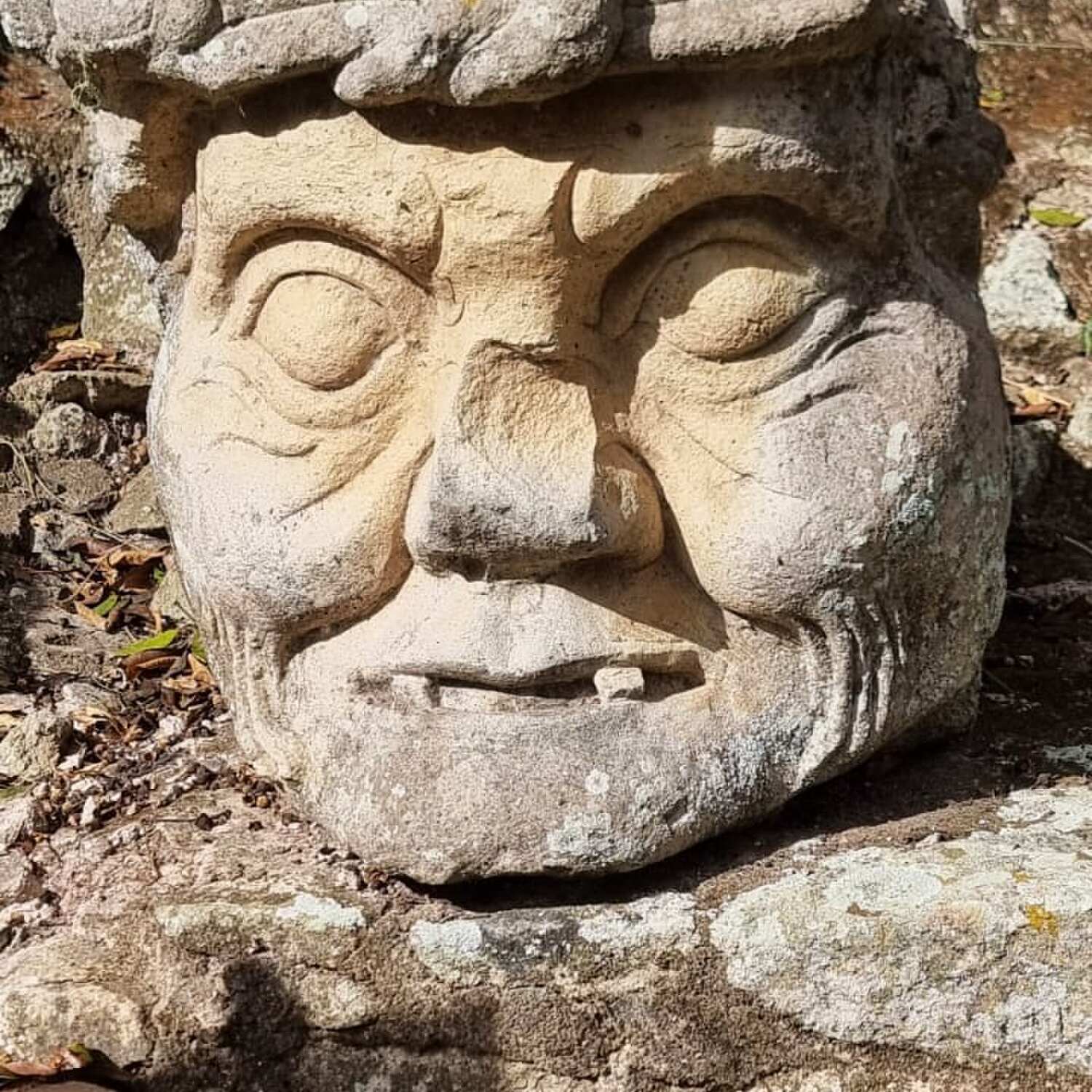 Auf den Spuren der Maya