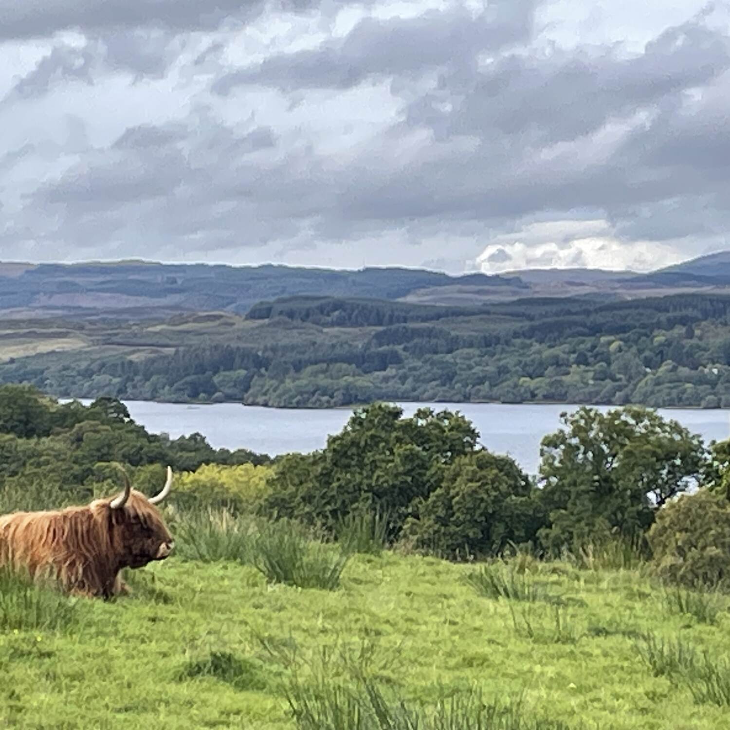 Schottland