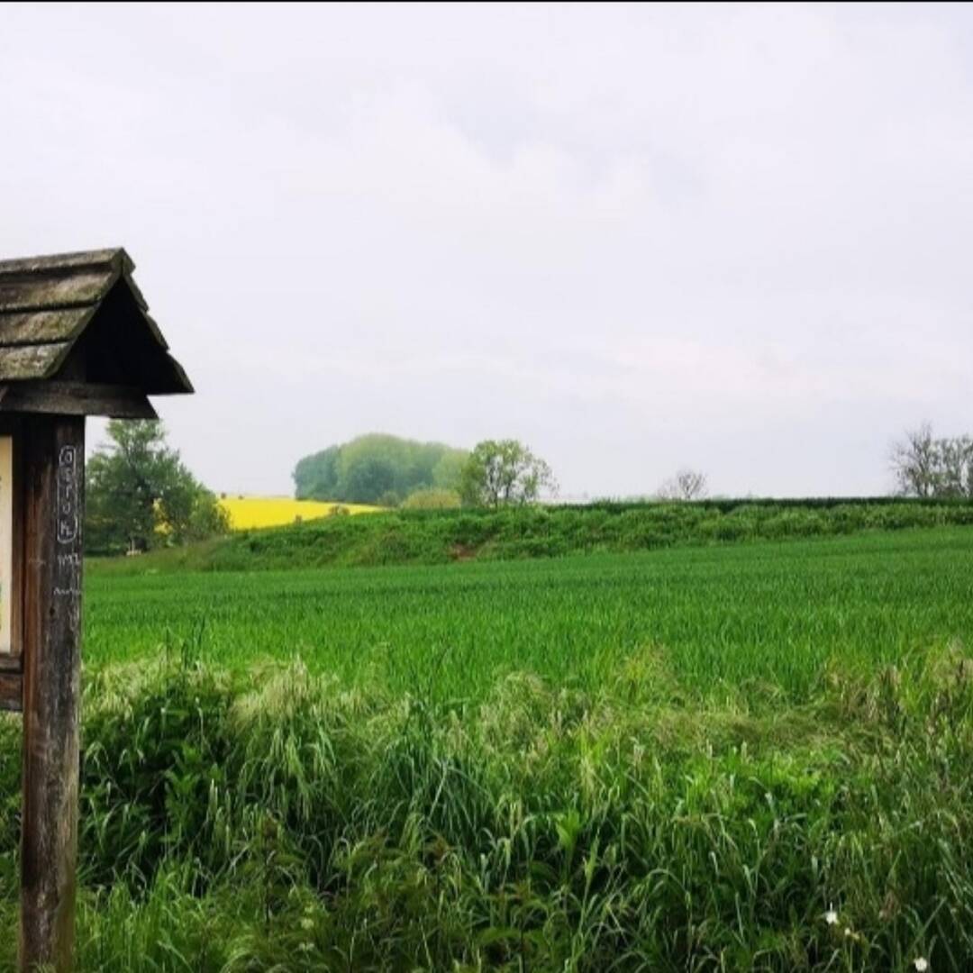 Saale-Leipzig-Rundweg