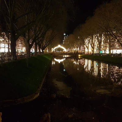 Düsseldorf 2016-2017