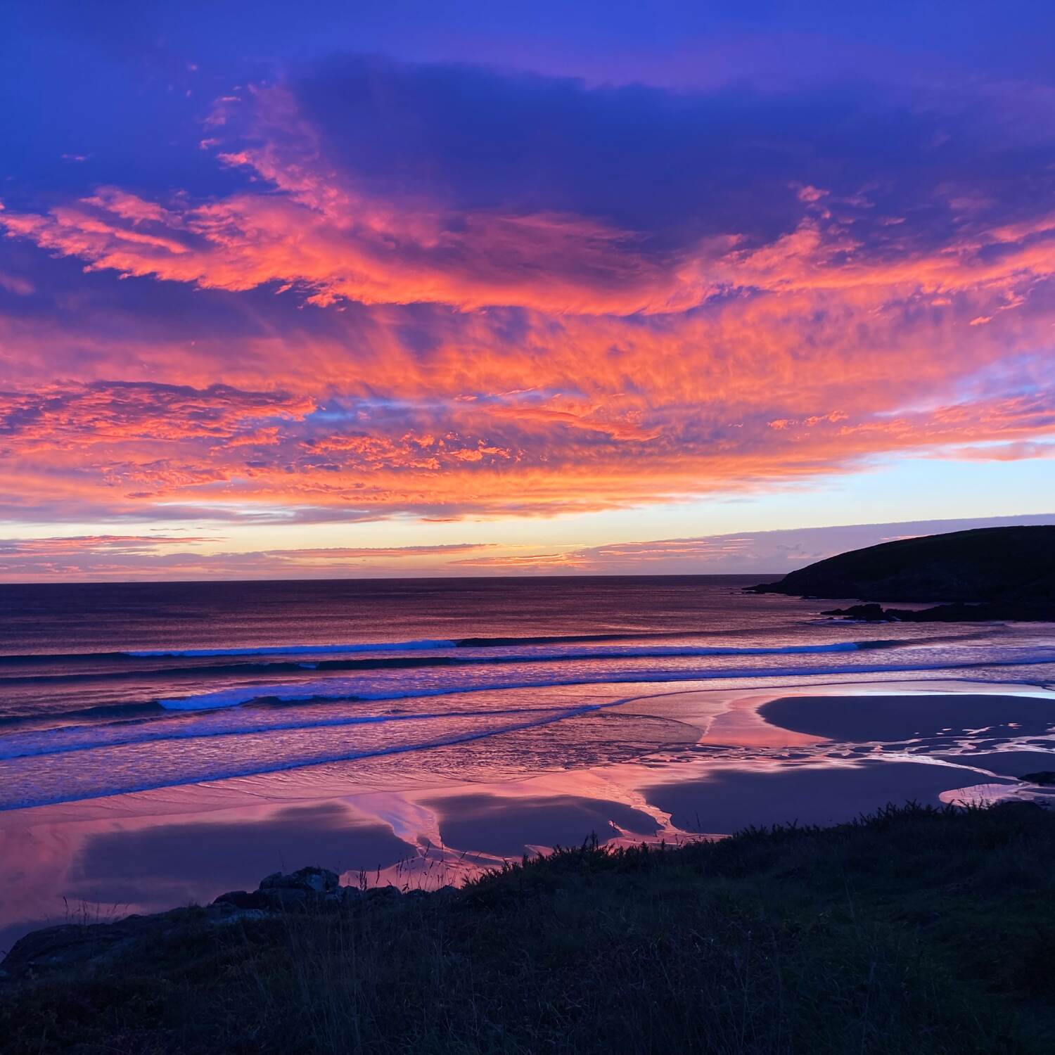 Três Pasteis de Nata