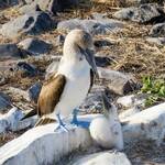 Jim Ryburn and David Clarke