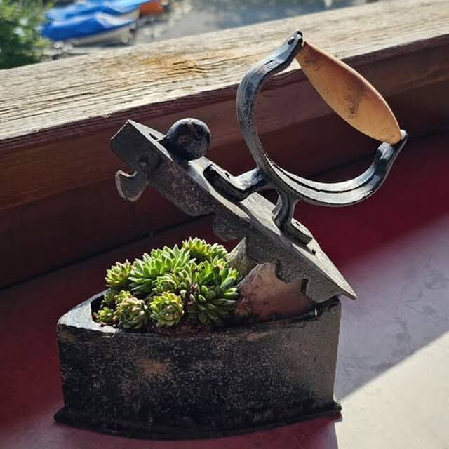 Janine Bolliger Segessenmann