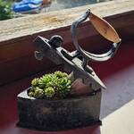 Janine Bolliger Segessenmann