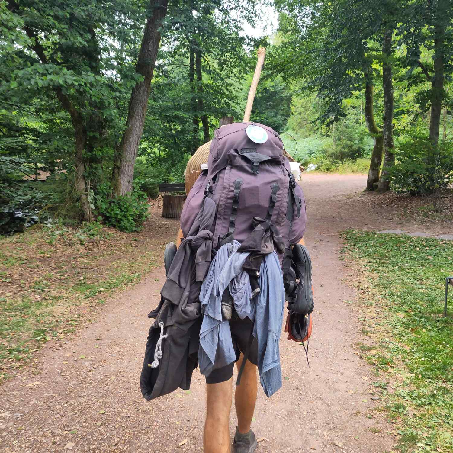 NST - Mit dogododg im Hunsrück