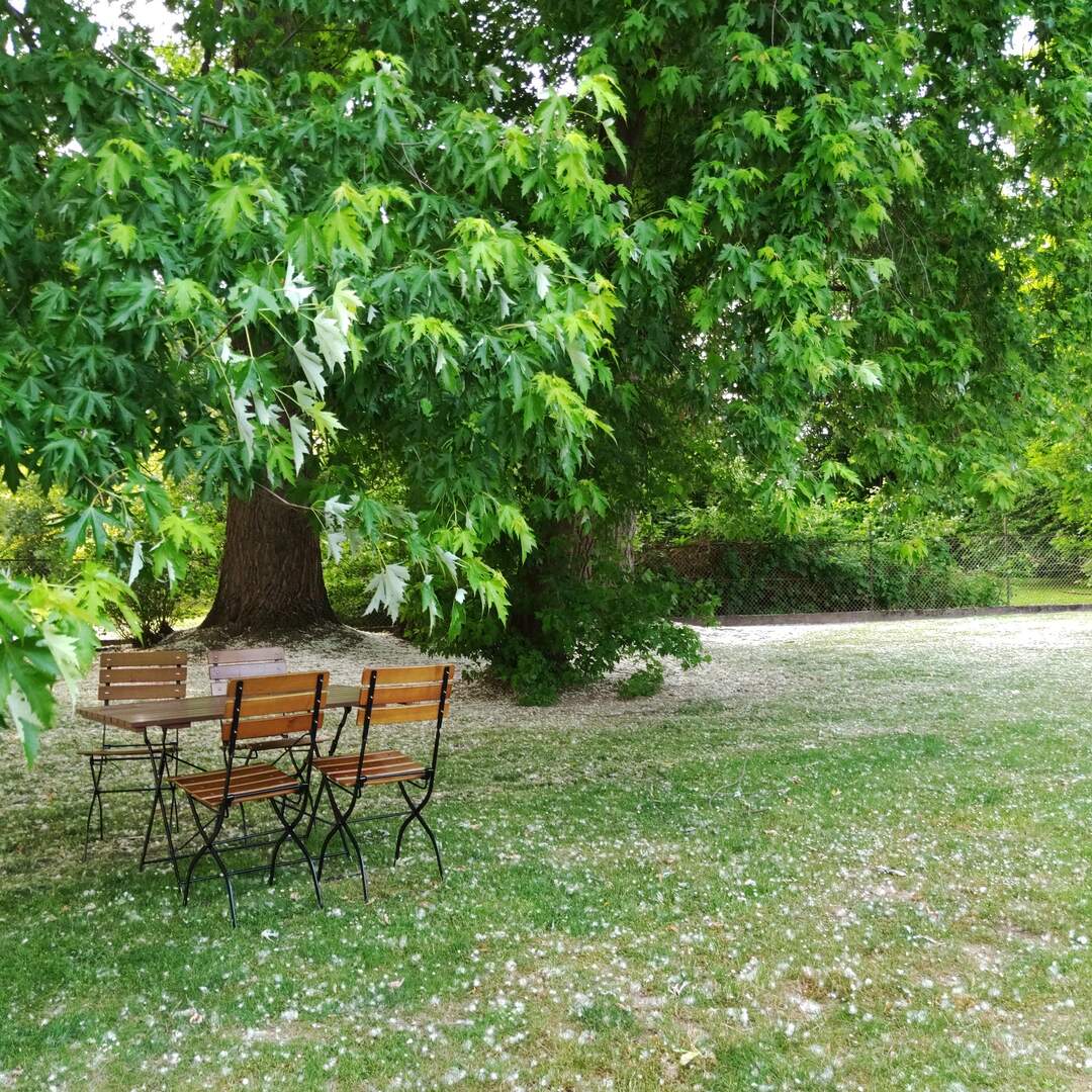 An der Drau entlang