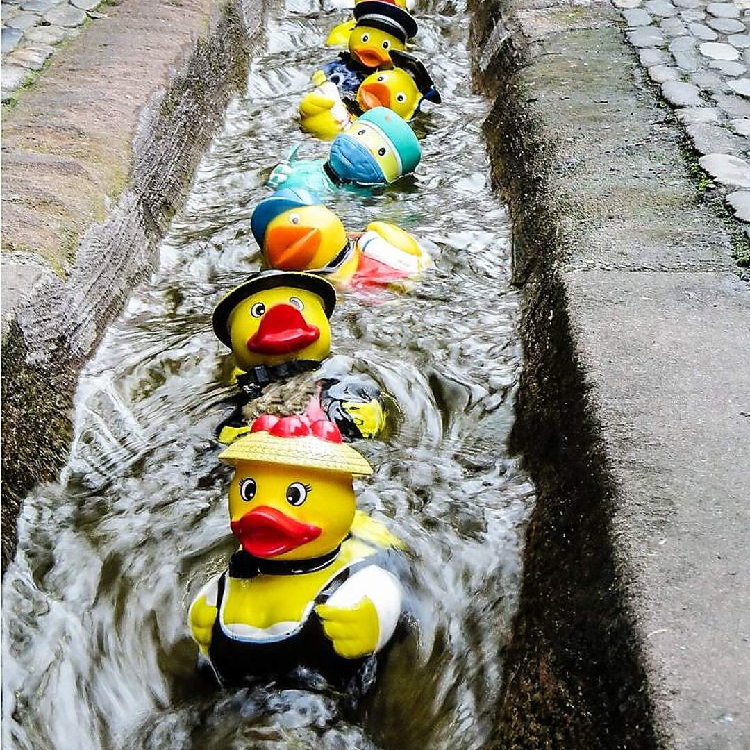 Freiburg 2021