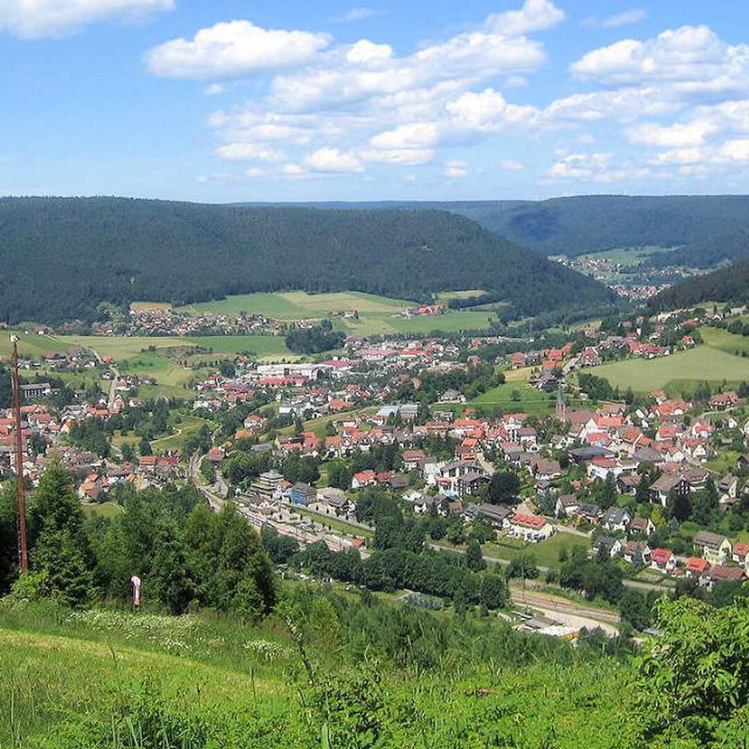 Baiersbronn 2020