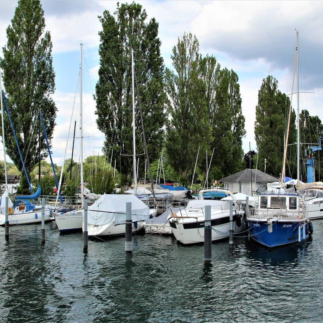 Bodensee 2019