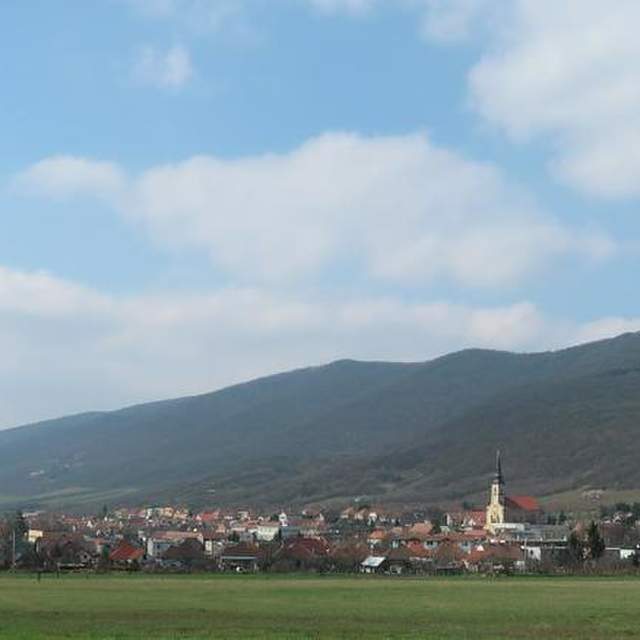 Môj život v Trnave