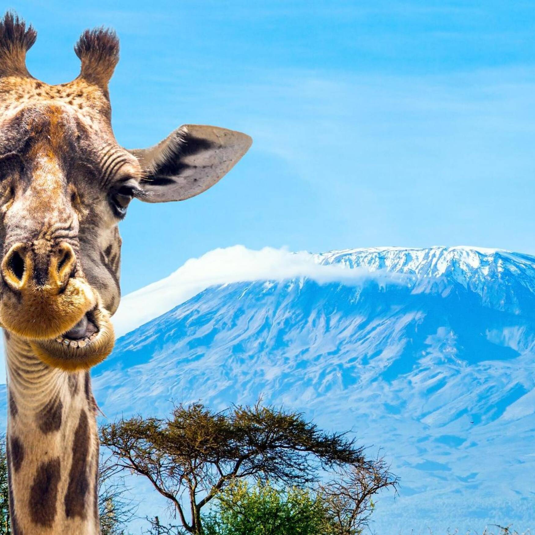 "Jambo" 🇹🇿 Tansania 2023