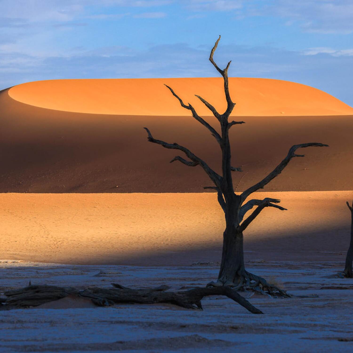 Back to Africa: Namibia