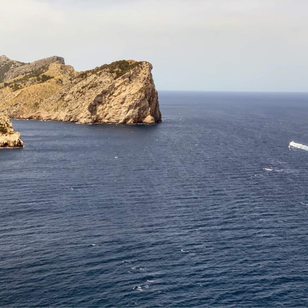 Viva Mallorca